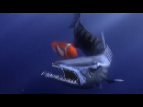 FINDING NEMO - BARRACUDA VS MARLIN | MARLIN FIGHTING WITH THIS LIFE | SPONSORED BY KLASKY EFFECTS