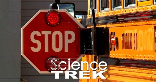 Science Trek:Light and Color: Color Your Behavior