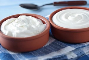 Greek Yogurt vs. Regular Yogurt: Which Is Better for Protein and Probiotics? #guthealth #probiotics Regular Yogurt Making regular yogurt begins with heating fresh milk to kill any potentially harmful pathogens. The heated milk is combined with live bacteria, typically Streptococcus thermophilus and Lactobacillus bulgaricus. It is set aside to ferment until it reaches an acidic pH of 4.5. The mixture thickens as lactose in the milk ferments into lactic acid.2 Greek Yogurt Greek yogurt undergoes t
