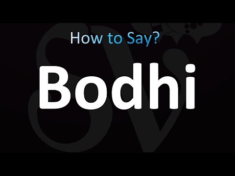 How to Pronounce Bodhi (correctly!)