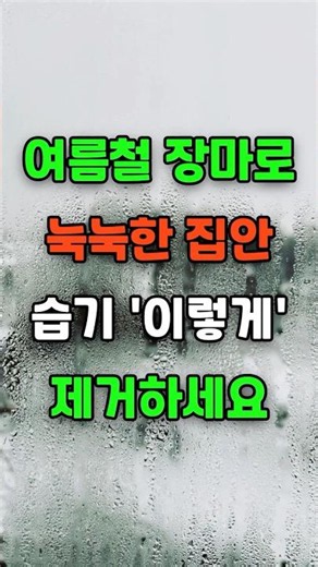 How to Get Rid of Humidity in Your Damp House During Monsoon Season!