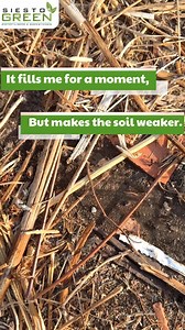 Your Crop Is Speaking… Are You Really Listening, Farmer? 🌾 “Farmer, I’m trying my best… but the soil is tired.” That’s what your crop is telling you. And adding more chemical fertilizer? ❌ That’s just junk food — a quick fix that weakens soil over time. What your soil truly needs is life, not more load. ✨ Siesto Green Bio-Fertilizer Capsules bring that life back. Inside every capsule are powerful beneficial microbes that: ✔ Repair damaged soil ✔ Boost root strength ✔ Improve nutrient uptake ✔ I