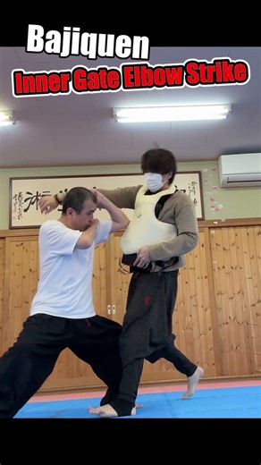 The Deadly Elbow Real Bajiquan Limon Chochu Akira's move #Bajiquan #ElbowStrike #VirtuaFighter