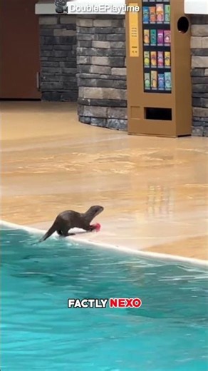 "Otter Answered THIS Bully Perfectly 😳🦦🥤✨" #shortsvideo