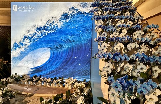 Visitors buy orchids at Santa Barbara International Orchid Show