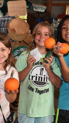🍂 Fall weather is here! Explore our giant corn maze, pick out the perfect pumpkin, hop on fun rides, play games, and enjoy all your favorite fall treats. 🎃🍭Bring the whole family and make this season one to remember! #KonowsCornMaze #FallFamilyFun #PumpkinPatchSeason #IllinoisFallFun #ChicagolandEvents #HomerGlenIL #FamilyAdventures #AutumnVibes #CornMazeAdventures #PumpkinFarmFun #FallActivities #WeekendPlans | Konow's Corn Maze