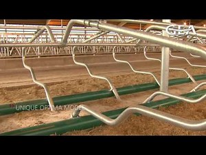 GEA Dairy Farming - GEA 2-D Optima cubicle division