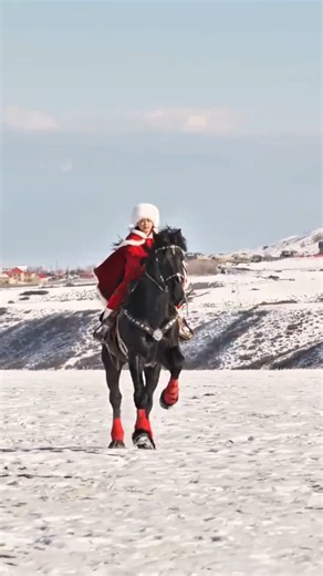 Black Horse Racing in Snow 🐎❄️ Epic Winter Horse Ride #shorts