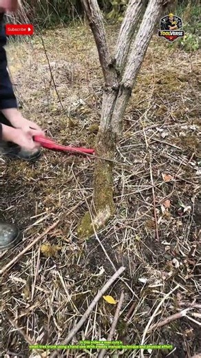 Man Cutting a Small Tree Trunk Using a Hand Saw #woodworkingtools