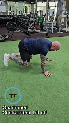 Quadruped Contralateral Limb Lift-Off