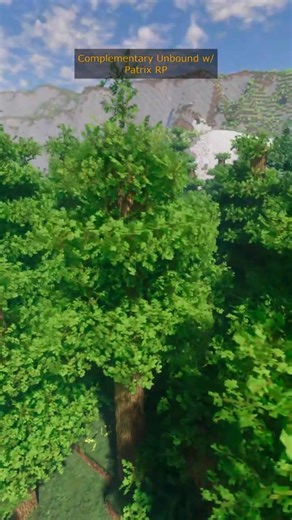 This Minecraft Forest Looks Almost Real