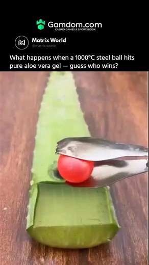 Matrix World on Instagram: "A 1000°C glowing steel ball meets pure aloe vera gel — and physics takes over 🔥🌿. The moment they touch, the gel erupts with sizzling steam as its high water content flashes into vapor. That vapor forms a temporary insulating cushion, limiting heat transfer and stopping full penetration. It looks extreme, but it’s a classic example of thermal resistance driven by rapid boiling and phase change. Follow @matrix.world Dm for credit/removal #ScienceExperiment #ThermalPh