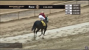 Good Morning and Happy Thursday! ☕️🏇 Mo Swift, a 3yo Ohio-bred, broke her maiden by 16 lengths yesterday in a MSW at Hollywood Gaming at Mahoning Valley Race Course for trainer Penny Rone with Luis Rivera aboard! She earned a career-best 78 Equibase Speed Figure for her performance. For more statistics from today and the day prior, visit Equibase Daily Insights with the link below: https://www.equibase.com/DailyInsights/dailyInsights.cfm | Equibase Company