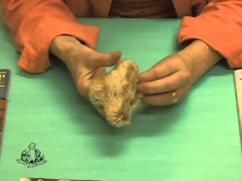 How to Make a Teddy Bear - #6 Turn Shapes Right-Sides Out