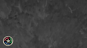 We told you about this arrest earlier in the week but we thought you’d like to see the important role our Drone Unit plays in keeping our community safe. Convicted felon Christopher Martinez, 37, of 403 McBlack St., Immokalee, was taken into custody on multiple felony warrants after he fled on foot from a traffic stop. He also faces resisting arrest and driving on a suspended license charges stemming from an Oct. 22 incident in Immokalee in which he ran from deputies. | Collier County Sheriff's 