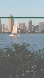  Dive into world-class degree programs at PLNU. Both digital & on-campus options available. Your future awaits! | Point Loma Nazarene University | Facebook