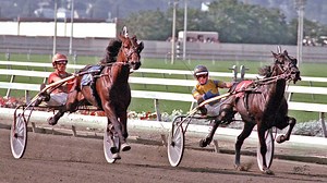 Take a look at this video to highlight the Grand Circuit in 2018 with clips of races and horses from the past and present. | HarnessRacing.com