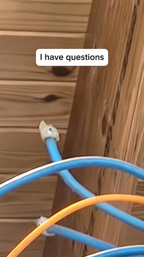 Kazley LPS 🎀🐾 on Instagram: "First the LPS table - then this 😭 Imagine eating at a restaurant and just seeing this above your head! Video is not intended to send any hate towards the creator/s of this piece - I am genuinely interested to know how and WHY these LPS found their way into the design! 😂 Jumped on the #jet2holiday trend! ✈️ Shoutout to @/finnspetshops for the creative take that inspired this video! Images are from Facebook. I have also deliberately hidden the name of the user who 