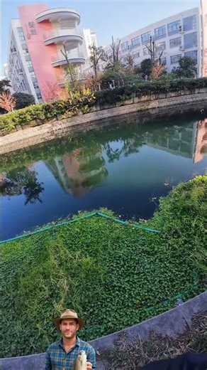 The harpoon shot out in a perfect arc.