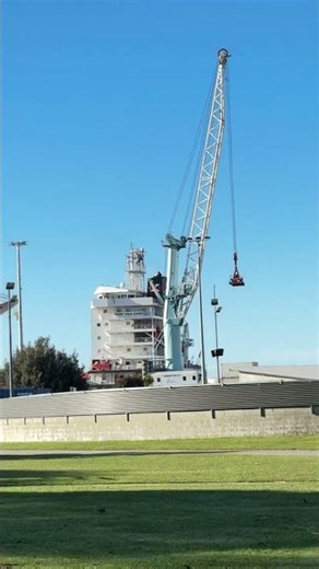 At Timaru wharf today
