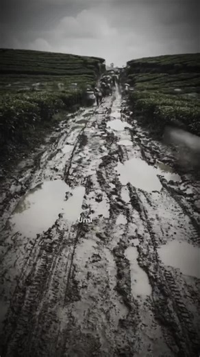 Mud. Work. Progress. This is how real change looks - EPS 27 #BeforeAfter #Timelapse #RealLife #VillageRoad #TeaFarm