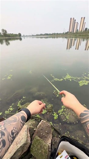 Tanago Fishing | Ultra Light Micro Fishing with Saotabi Wooden Box Kit