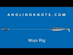 How To Make A Mojo Rig