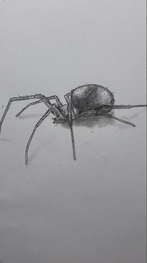 Draw a realistic spider 🕷️ Easy drawing lesson for beginners on how to draw a spider #drawinglesson