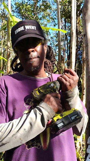 NFL Week 9 Ravens vs Dolphins