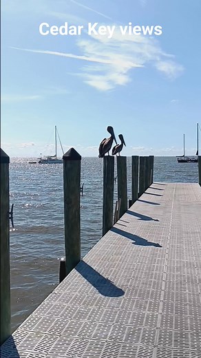 Looking out from the dock at the boat ramp. #CedarKeyViews | I Love Cedar Key