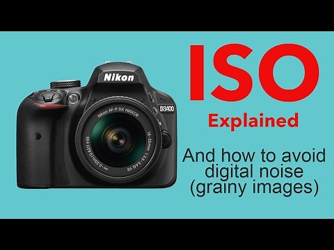 Photography tips for beginners - ISO - the basics explained and how to avoid digital noise