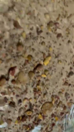 Water flowing through Ogbunike Cave is not accidental. Every drop remembers who passed before you.