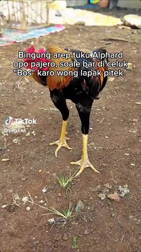 gas co#fyp #4u #foryou #liwatberanda #pamangoniq