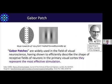 Improving Visual Functions with Neuroadaptive Learning -