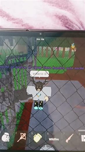 cuando el lobo te dice los planes del conejo 🤑