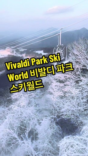 Vivaldi Park Ski World: The Ultimate Skiing Destination in Gangwon-do