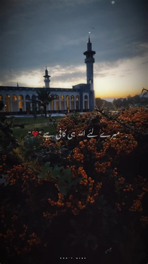 #islamicvideo #fyp #foryoupage #viral #foryou #allahuakbar #islam #islami #viralvideo #islamicreminder☪️