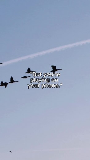 Mapping Animal Migration in a Changing Climate