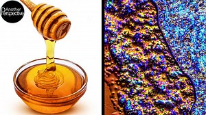 What Honey Looks Like Under a Microscope
