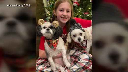 All dogs adopted at Pennsylvania shelter