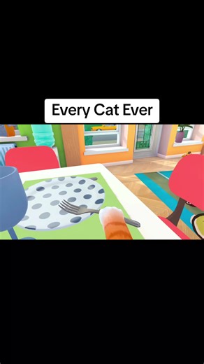 Every cat ever. #catsoftiktok #funny #fyp #humor #cat