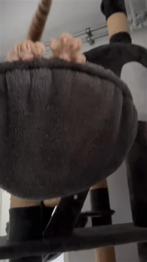 Cat guy | Talking cats are one of those ideas that instantly make everyday life way more interesting. Imagine a cat that doesn’t just meow for food,... | Instagram