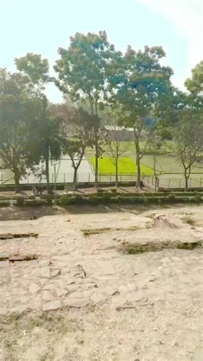 Prapti Mohonto Borsha (@prapti.mohonto.bor)’s videos with original sound - Ripon Mahmudul