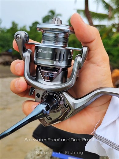 Bearking Assassin Saltwater Fishing Reel Review