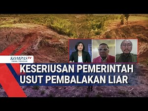 Keseriusan Pemerintah Usut Pembalakan Liar di Hutan Sumatera