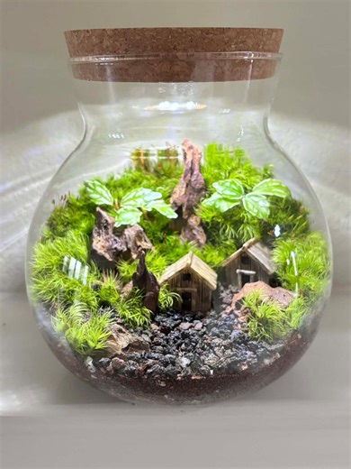 Glass Moss Terrarium With LED Cork Lid, Cottage Garden Terrarium, Handmade Living Moss Ecosystem, Desktop Zen Terrarium, Unique Nature Gift - Etsy