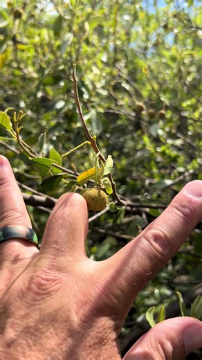 Bessie Weather Blooper Compilation
