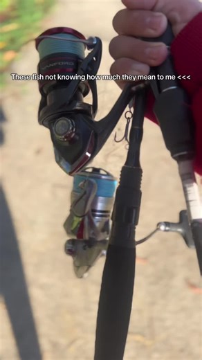 Jewfish Catching Techniques for River Fishing