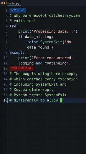 Your Python Is Too Slow: Why bare except catches system exits too!