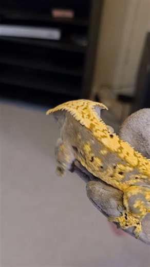 Matt Dillahunty on Reels